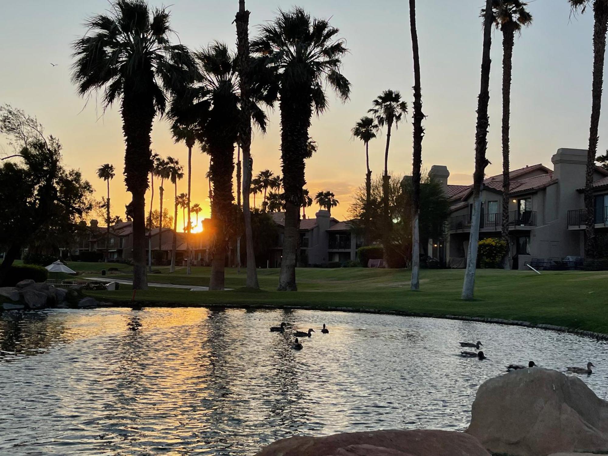 The View! Palm Desert Country Club Villa Exteriör bild